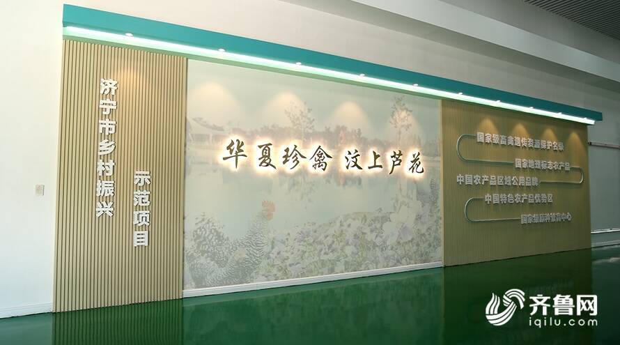 【齊魯網(wǎng)】濟(jì)寧2022上半年重點項目巡禮:汶上蘆花雞全產(chǎn)業(yè)鏈標(biāo)準(zhǔn)化生產(chǎn)基地項目 - 副本